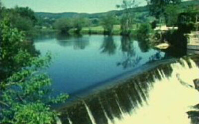 A Portrait of Small Hydro
