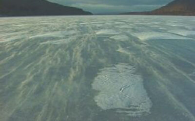 Snow on the Lake